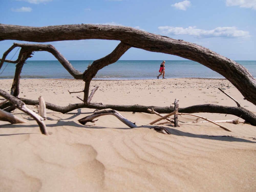 A person in red walking along a sandy beach seen through a frame of bleached driftwood branches, Ireland