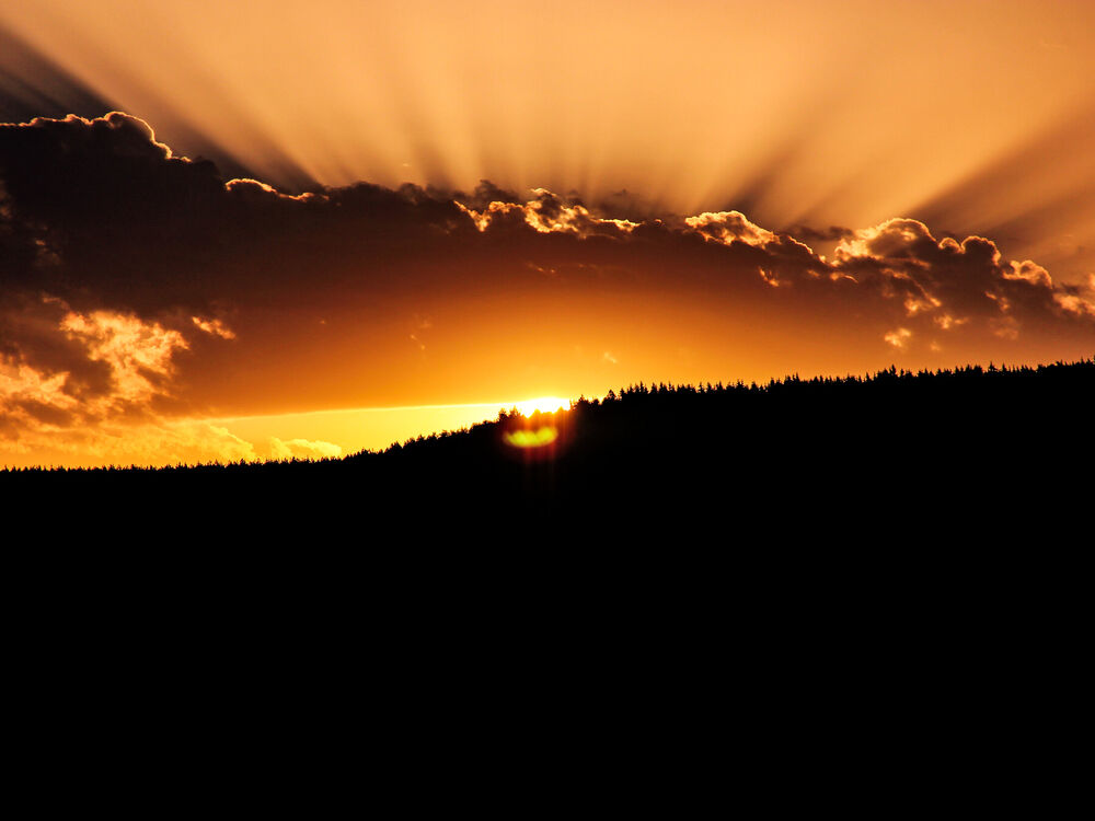 Sunrise breaking over a forested ridge in Kerala with dramatic rays fanning through clouds