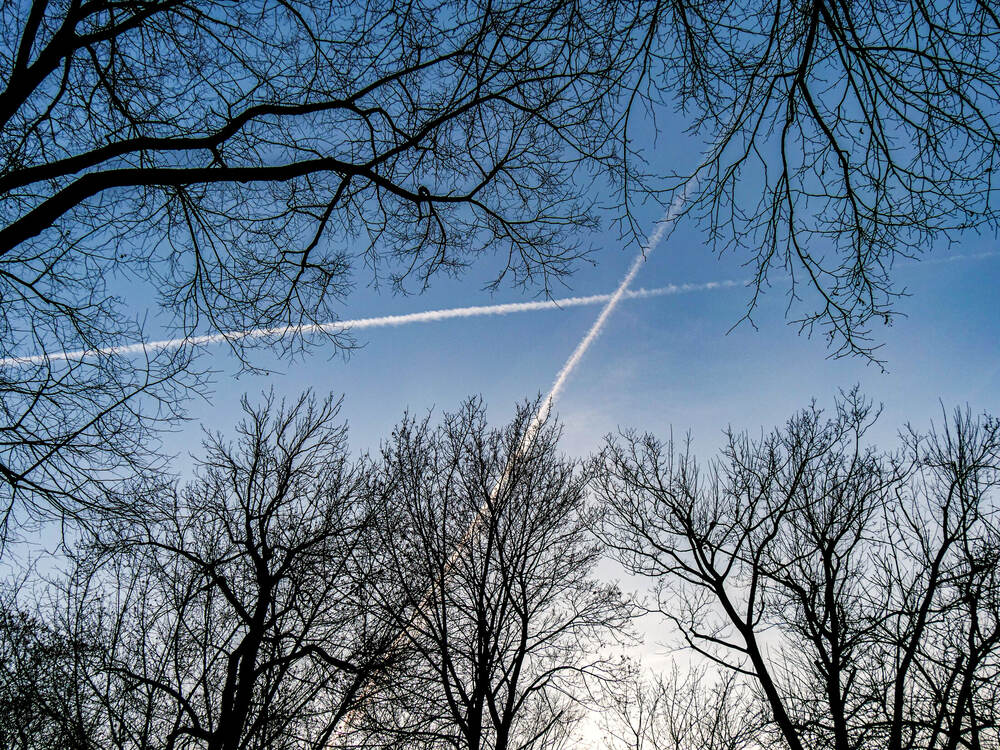 Illuminated lattice arch bridges reflected in the Vistula river at night, Kraków