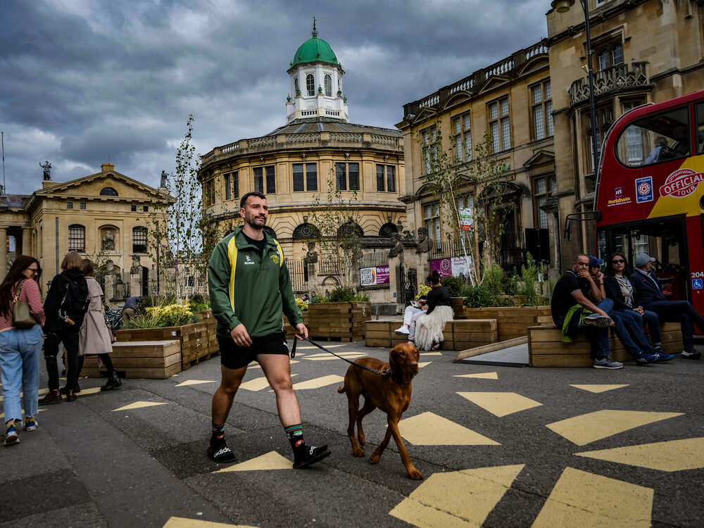 A man walking a Vizsla past the green dome of the Sheldonian Theatre, Oxford