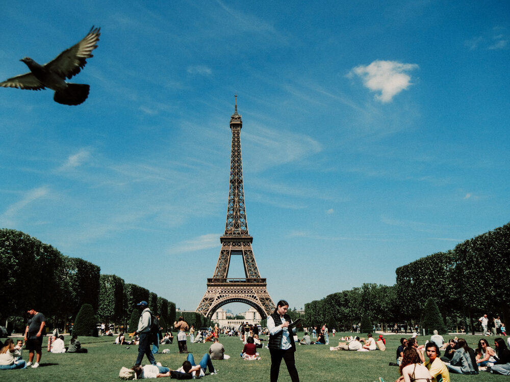 A pigeon in flight crossing in front of the Eiffel Tower above crowds on the lawn, Paris