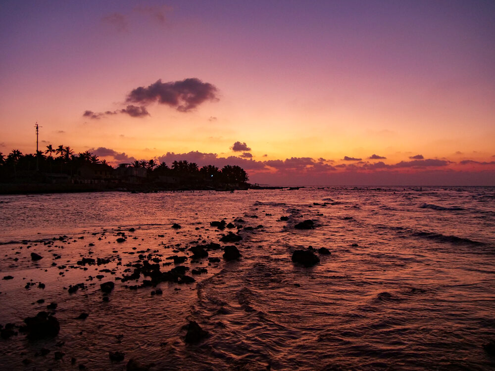 Purple and orange sunset over a rocky shoreline with palm silhouettes, Sri Lanka